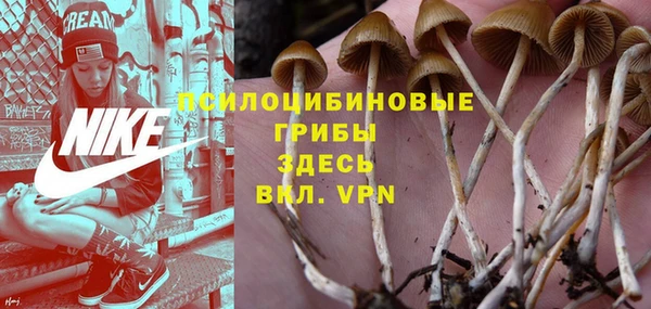 прущий лед Липки