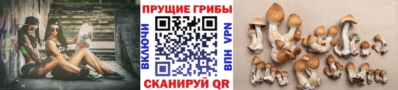 Галлюциногенные грибы Magic Shrooms  хочу наркоту  Сысерть 